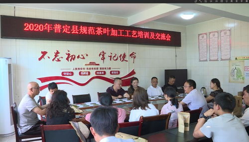 全縣規(guī)范茶葉加工工藝培訓及交流會順利召開