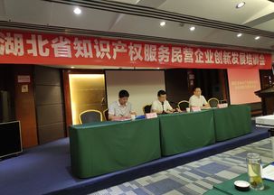 鄂西知識產(chǎn)權(quán)服務民營企業(yè)創(chuàng)新發(fā)展培訓會成功在十堰舉辦